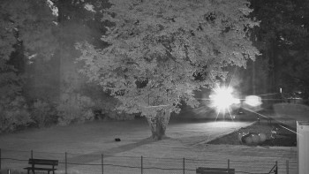 Snímek    13.9.2025 v 05:45