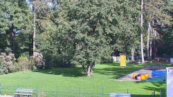 Beach volejbal