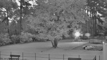 Snímek    19.9.2025 v 06:00