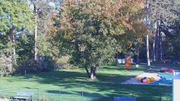 Snímek    19.10.2025 v 15:15