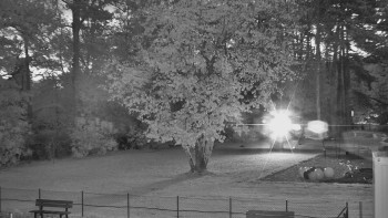 Snímek    25.10.2025 v 06:45