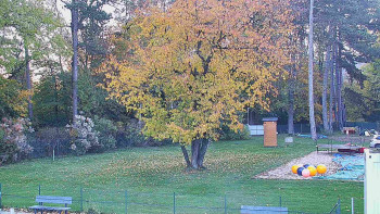 Snímek    25.10.2025 v 07:45