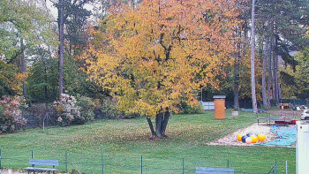 Snímek    25.10.2025 v 13:15