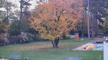 Snímek    26.10.2025 v 06:15