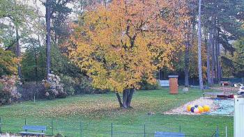 Snímek    26.10.2025 v 08:45
