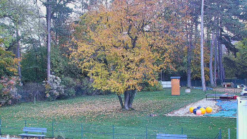 Snímek    26.10.2025 v 16:30
