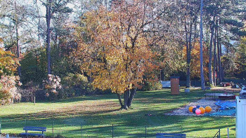 Snímek    29.10.2025 v 09:30