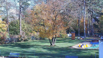 Snímek    29.10.2025 v 13:00