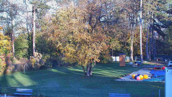 Snímek    29.10.2025 v 15:45