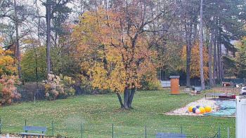 Snímek    30.10.2025 v 08:45