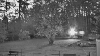 Snímek    1.11.2025 v 06:00