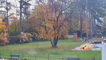 Snímek    1.11.2025 v 07:30