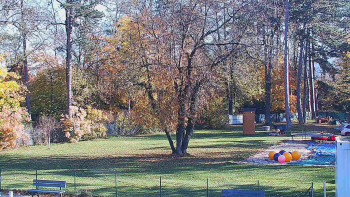 Snímek    1.11.2025 v 11:00