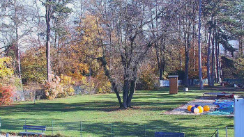 Snímek 5.11.2025 v 11:45