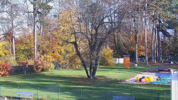 Snímek 5.11.2025 v 13:45