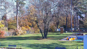 Snímek 6.11.2025 v 11:45