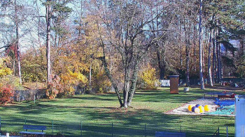 Snímek 6.11.2025 v 13:00