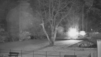 Snímek 8.11.2025 v 03:45