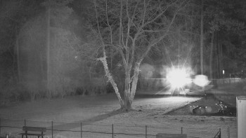 Snímek    19.11.2025 v 20:30