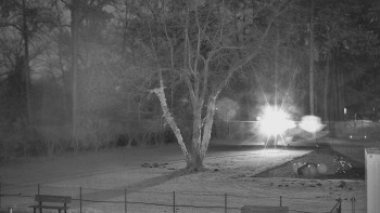 Koupaliště Bystřice pod...