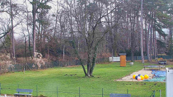 Koupaliště Bystřice pod...