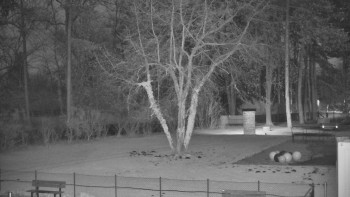 Koupaliště Bystřice pod...