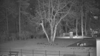 Koupaliště Bystřice pod...