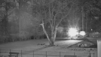 Koupaliště Bystřice pod...