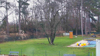 Koupaliště Bystřice pod...