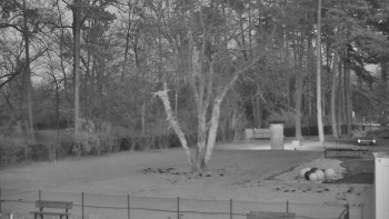 Koupaliště Bystřice pod...