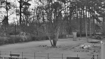 Koupaliště Bystřice pod...