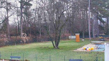 Koupaliště Bystřice pod...