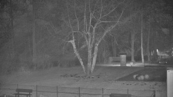 Koupaliště Bystřice pod...