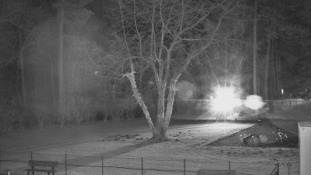 Koupaliště Bystřice pod...