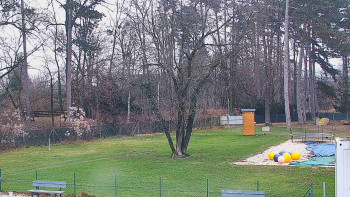 Koupaliště Bystřice pod...