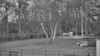 Koupaliště Bystřice pod...