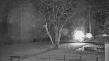 Koupaliště Bystřice pod...