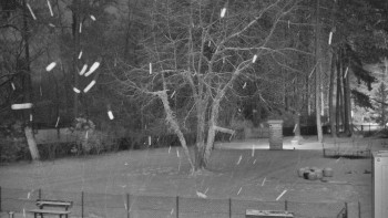 Koupaliště Bystřice pod...