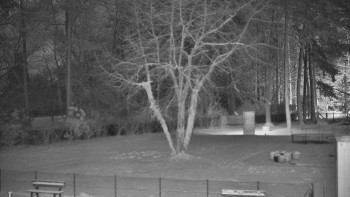 Koupaliště Bystřice pod...