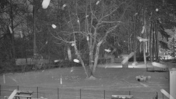 Koupaliště Bystřice pod...