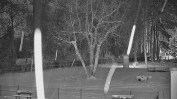 Koupaliště Bystřice pod...