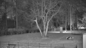 Koupaliště Bystřice pod...