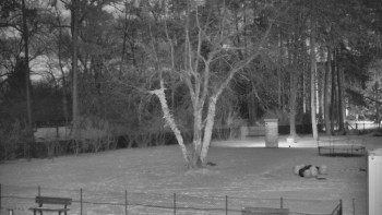 Koupaliště Bystřice pod...