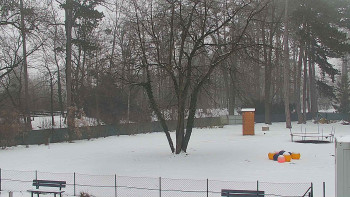 Koupaliště Bystřice pod...