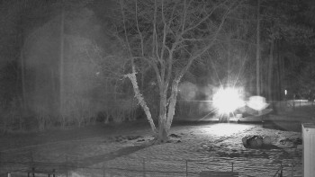 Koupaliště Bystřice pod...