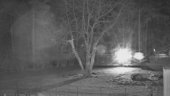 Koupaliště Bystřice pod...