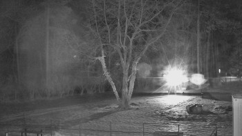 Koupaliště Bystřice pod...