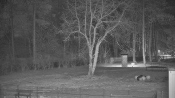 Koupaliště Bystřice pod...