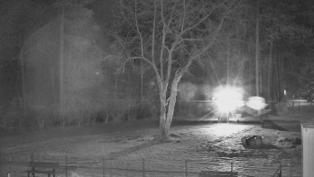 Koupaliště Bystřice pod...