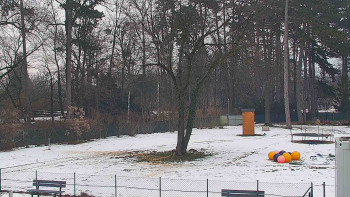 Koupaliště Bystřice pod...